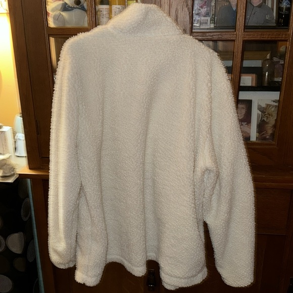 Katydid - Picture 3 of 4